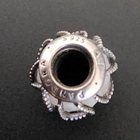 Pandora Intertwining Radiance Charm with Clear Zirconia - Picture 8 of 8